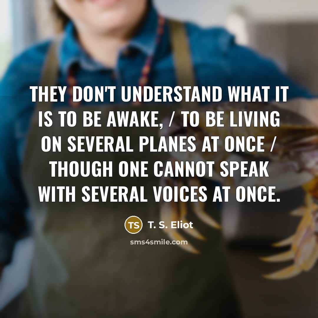 “They don't understand what it is to be awake, /…” quote by T. S. Eliot