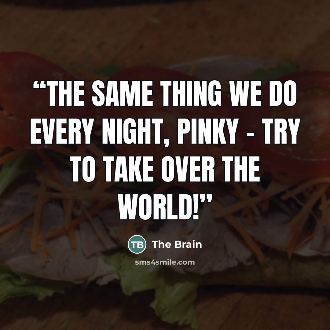 “The same thing we do every night, Pinky - try to take over the world!” quote by The Brain