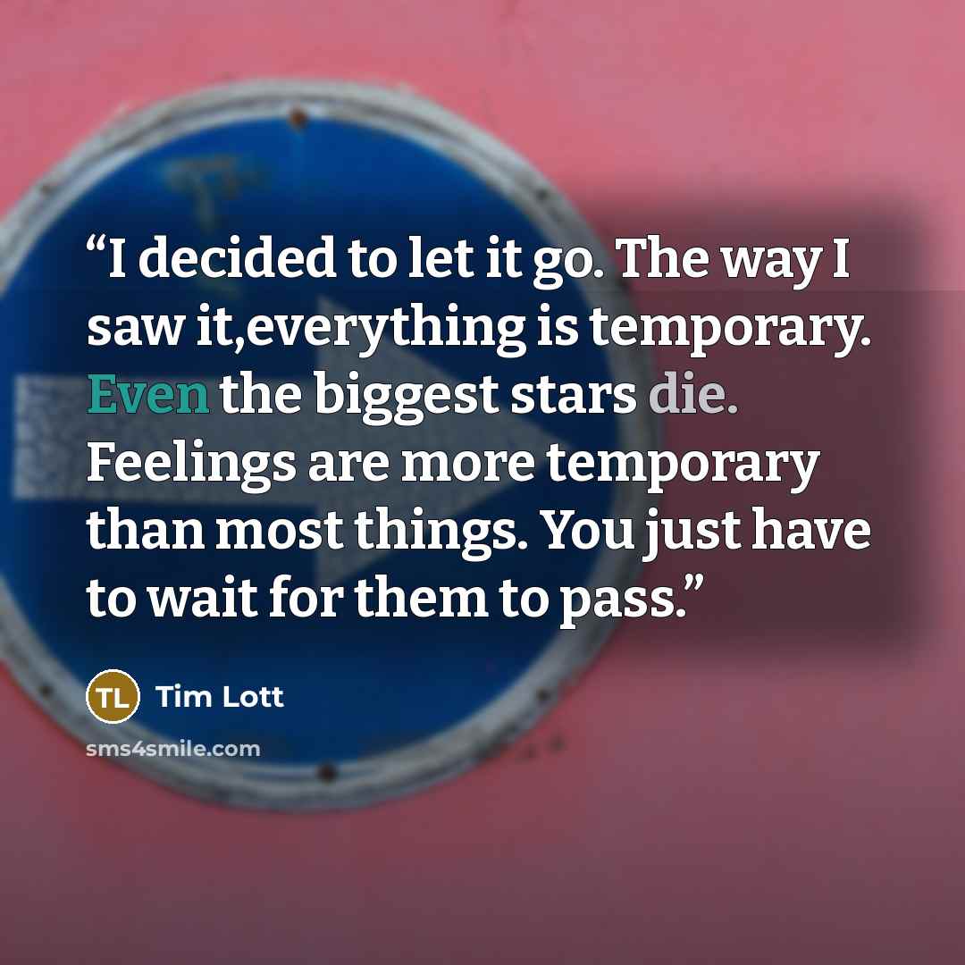 “I decided to let it go. The way I saw it,everything is temporary. Even the biggest stars die. Feelings are more temporary than most things. You just have to wait for them to pass.” quote by Tim Lott