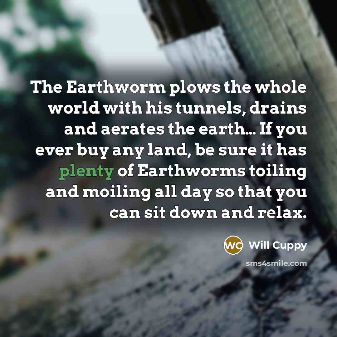 “The Earthworm plows the whole world with his tunnels, drains…” quote by Will Cuppy