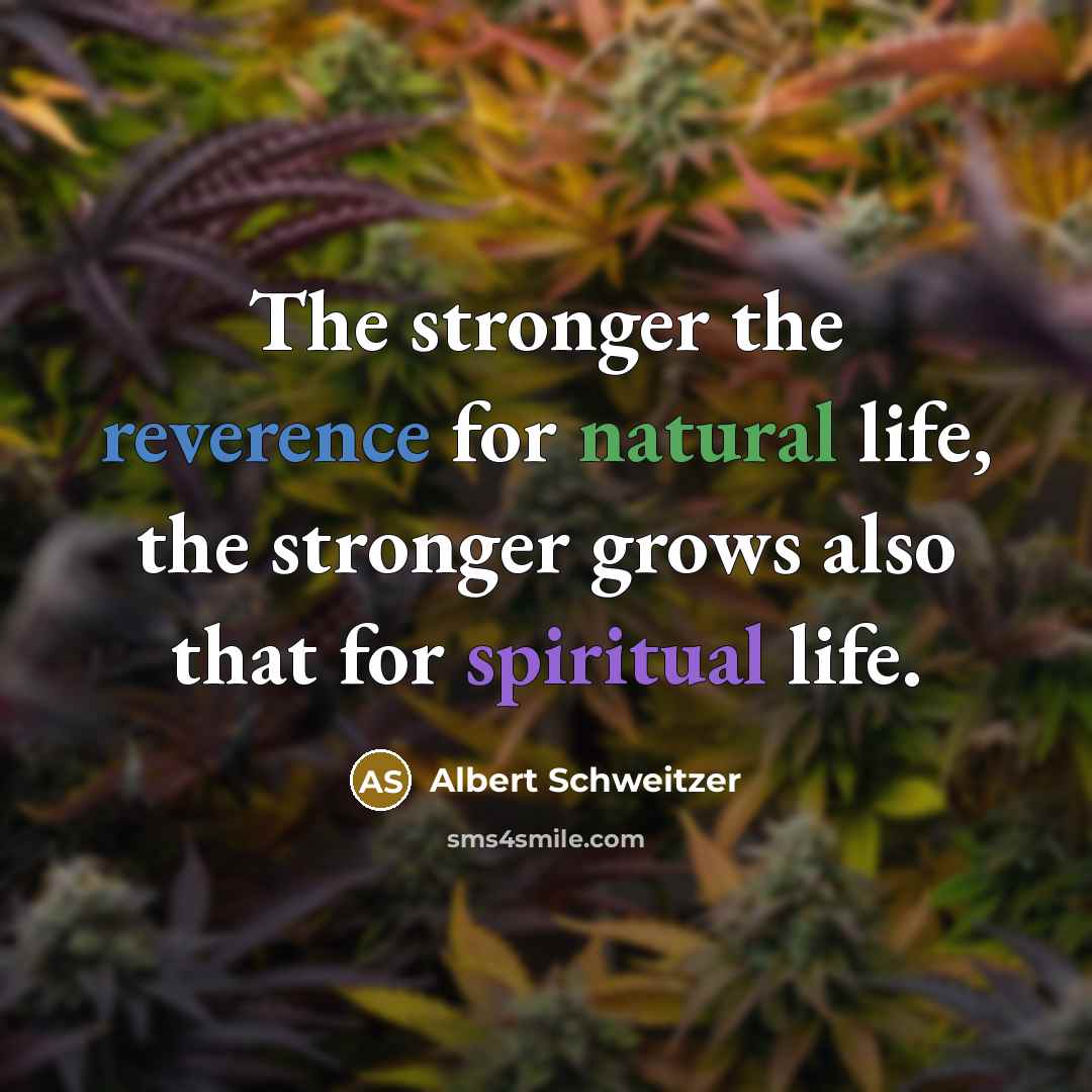 “The stronger the reverence for natural life, the stronger grows…” quote by Albert Schweitzer