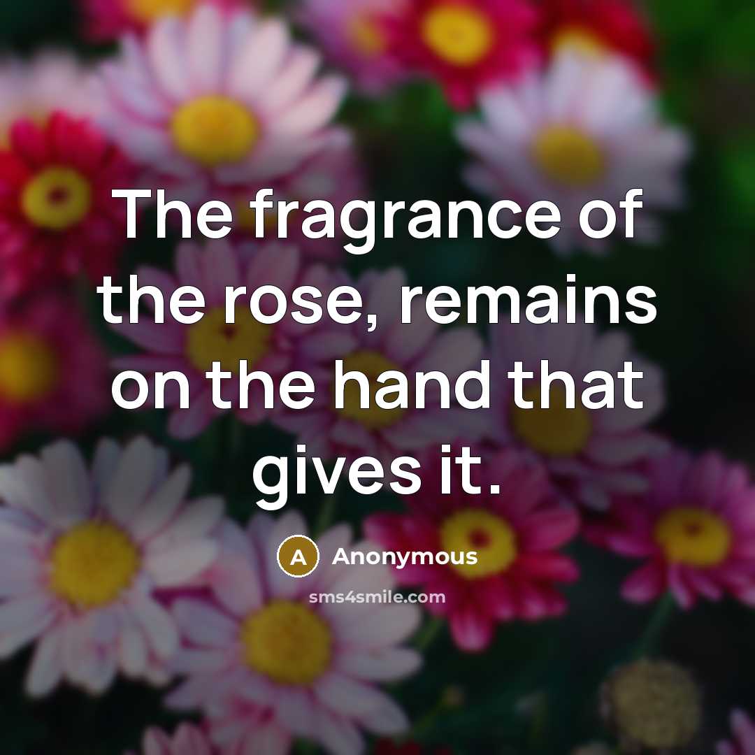 “The fragrance of the rose, remains on the hand that…” quote by Anonymous