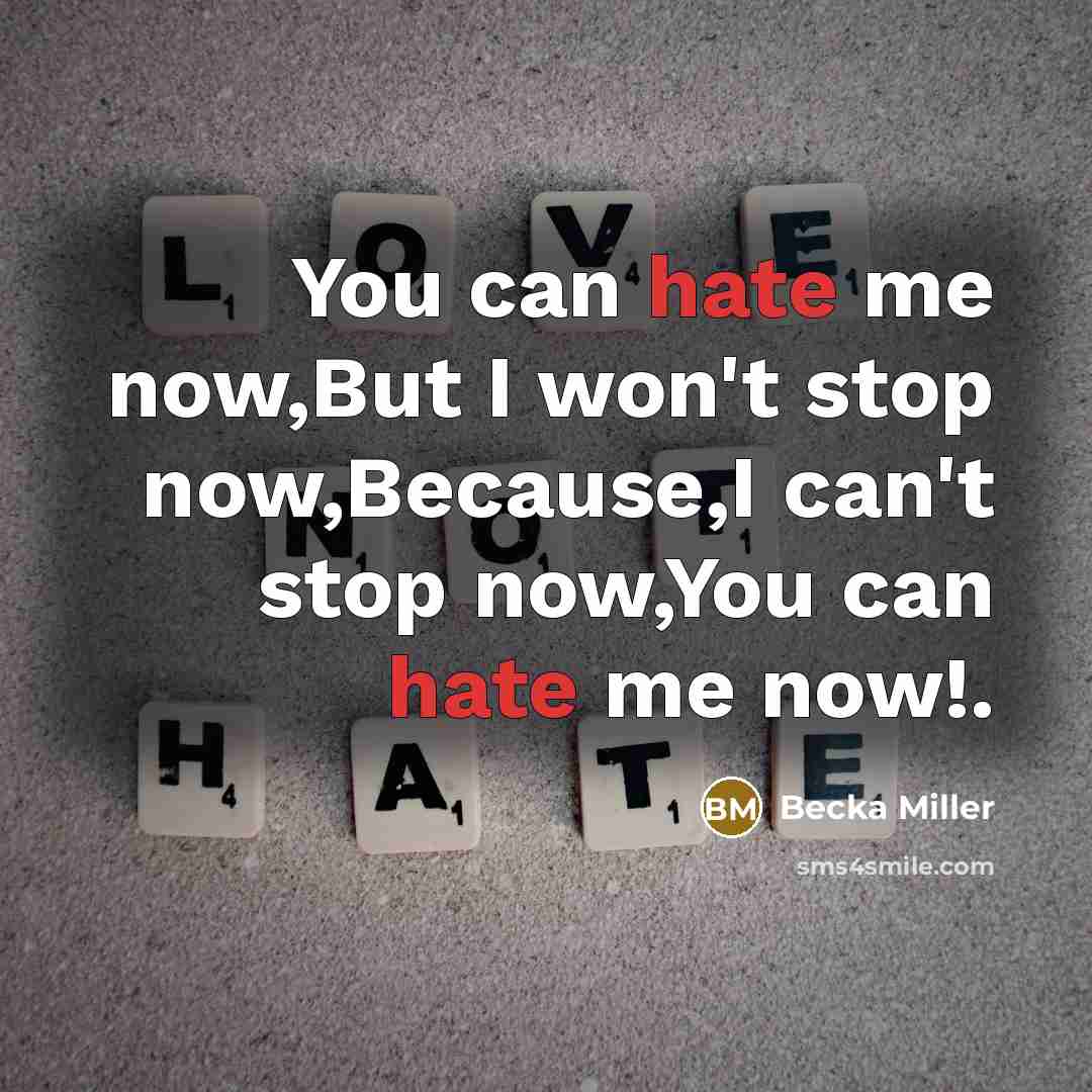 “You can hate me now,But I won't stop now,Because,I can't stop now,You can hate me now!.” quote by Becka Miller