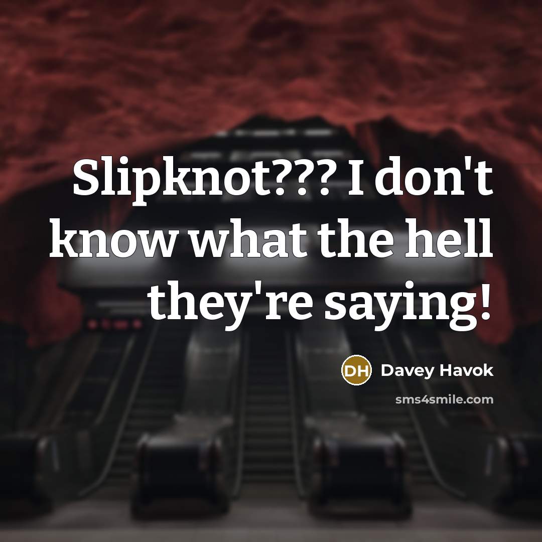 “Slipknot??? I don't know what the hell they're saying!…” quote by Davey Havok