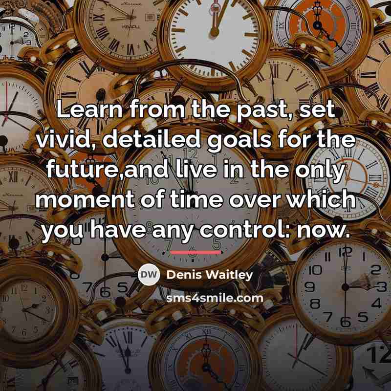 “Learn from the past, set vivid, detailed goals for the…” quote by Denis Waitley