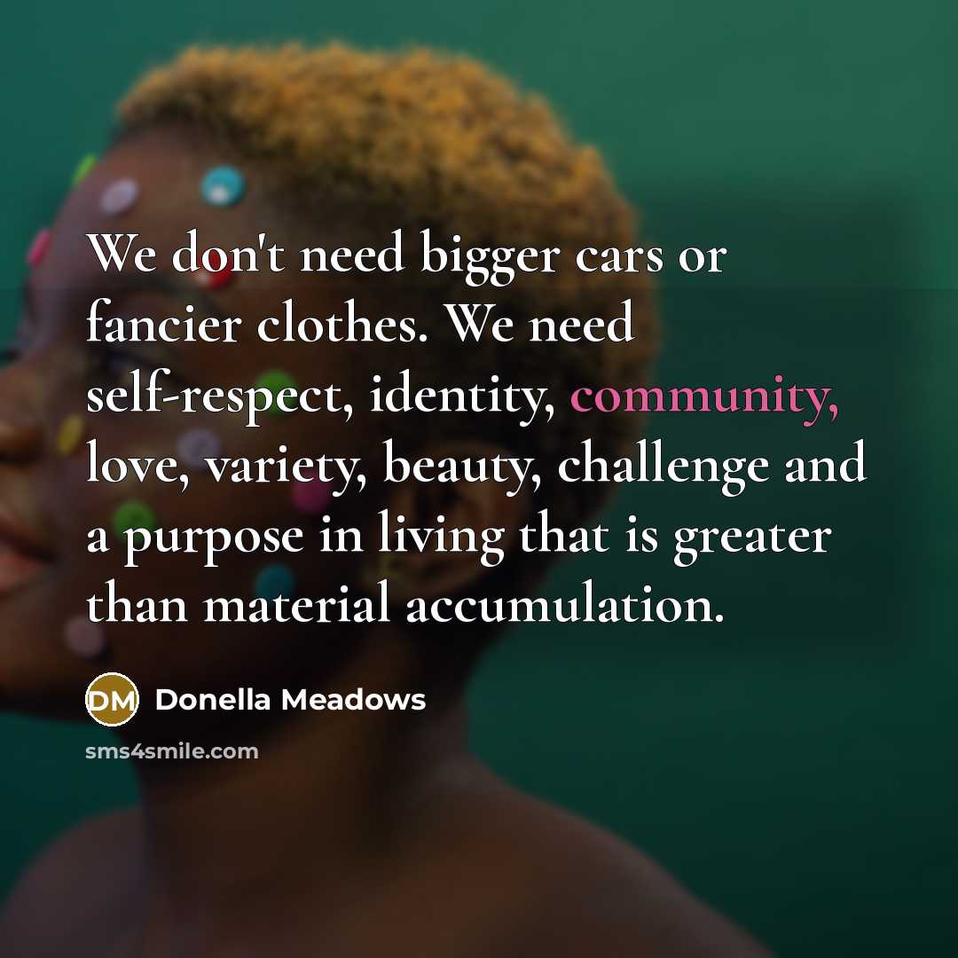 “We don't need bigger cars or fancier clothes. We need…” quote by Donella Meadows