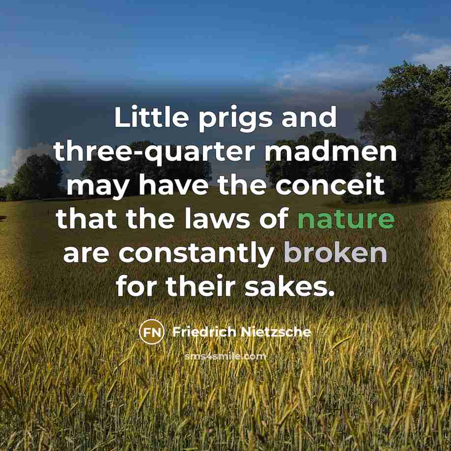 “Little prigs and three-quarter madmen may have the conceit that…” quote by Friedrich Nietzsche