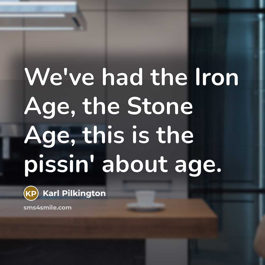 “We've had the Iron Age, the Stone Age, this is…” quote by Karl Pilkington