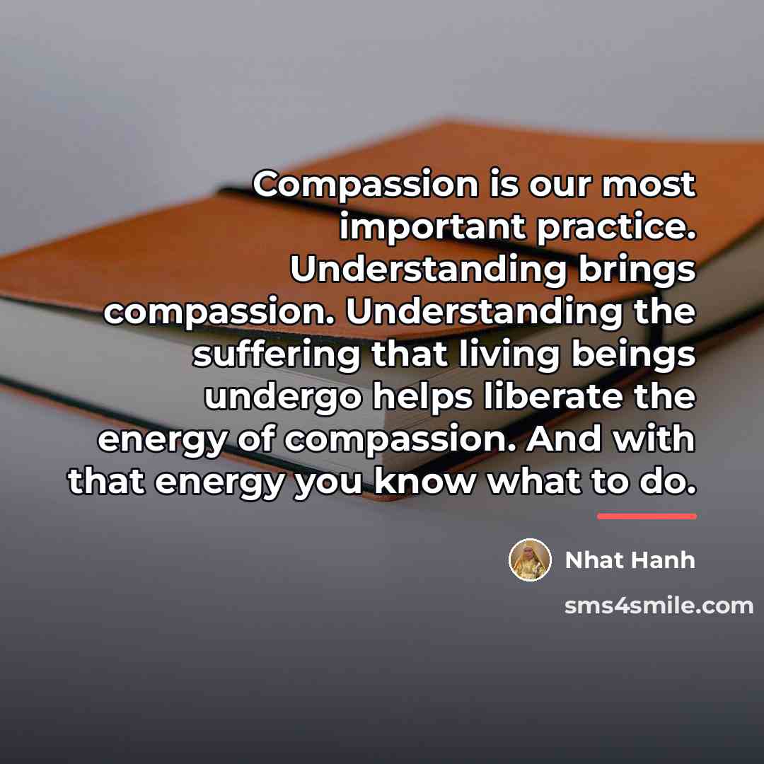 “Compassion is our most important practice. Understanding brings compassion. Understanding…” quote by Nhat Hanh