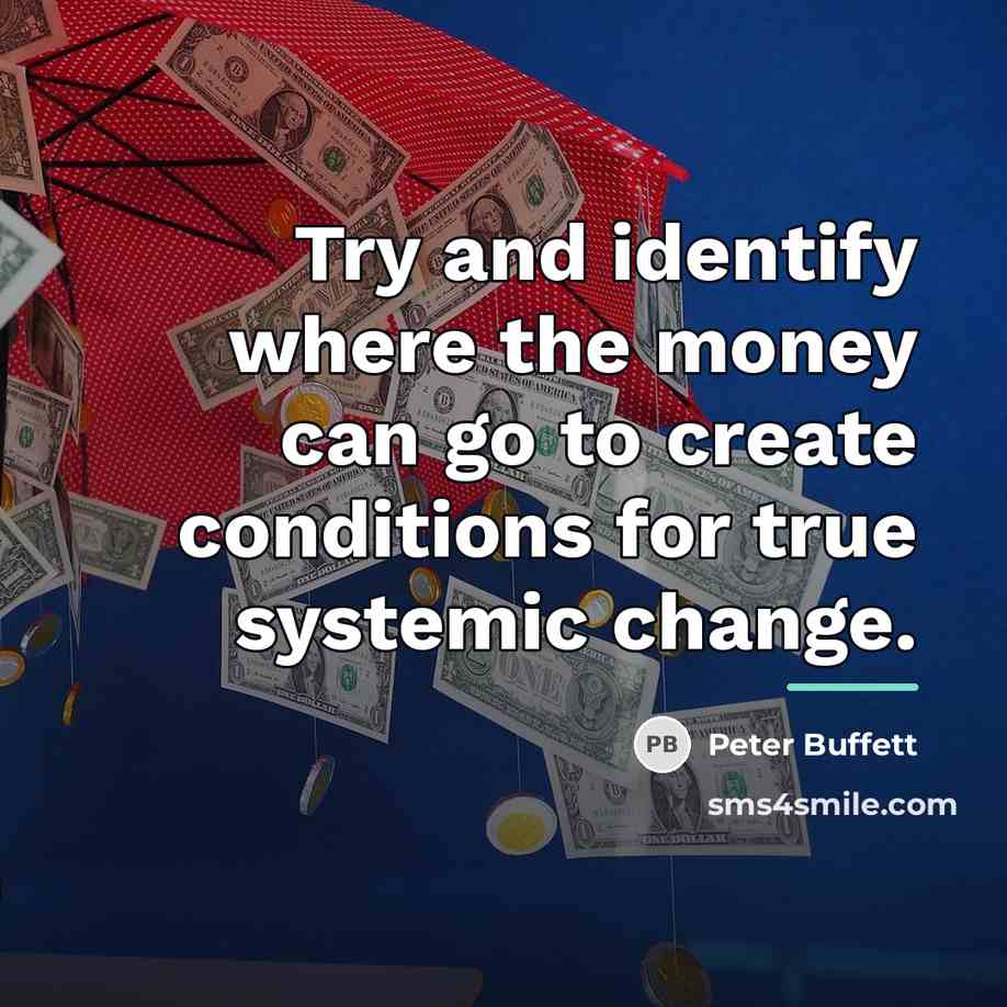 “Try and identify where the money can go to create…” quote by Peter Buffett