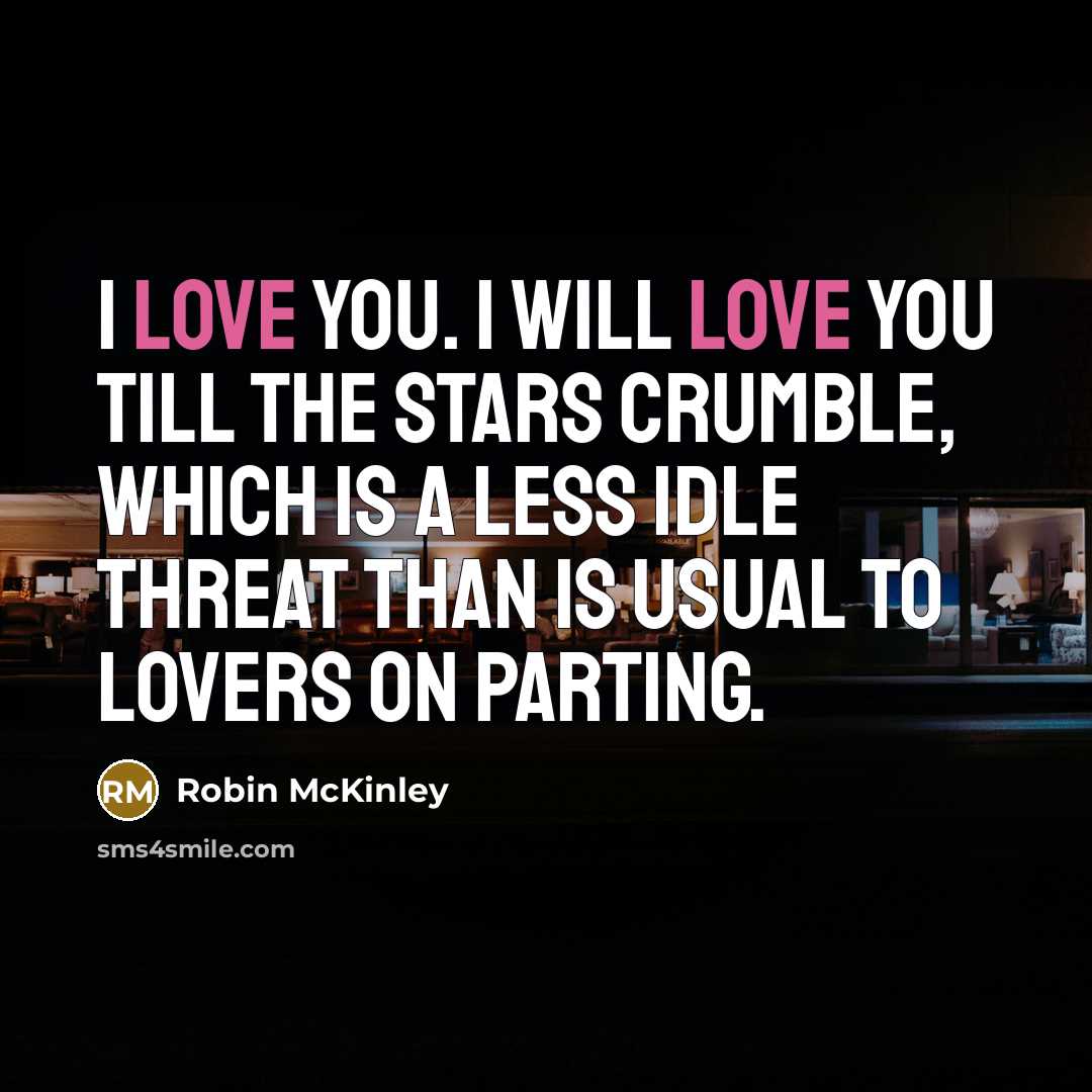 “I love you. I will love you till the stars…” quote by Robin McKinley
