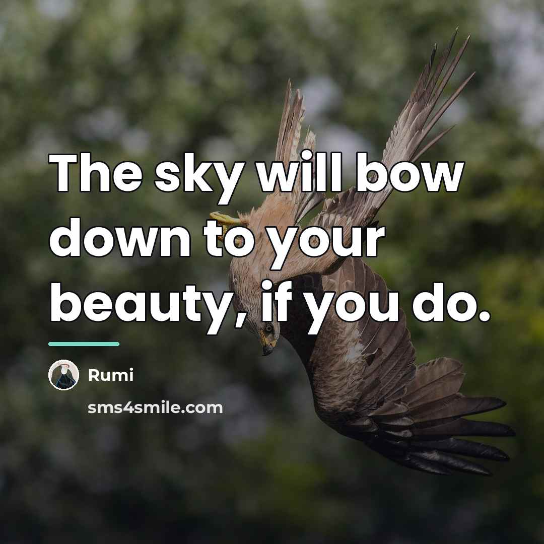 “The sky will bow down to your beauty, if you…” quote by Rumi