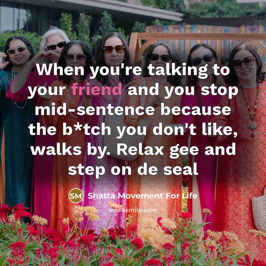 “When you're talking to your friend and you stop mid-sentence because the b*tch you don't like, walks by. Relax gee and step on de seal” quote by Shatta Movement For Life
