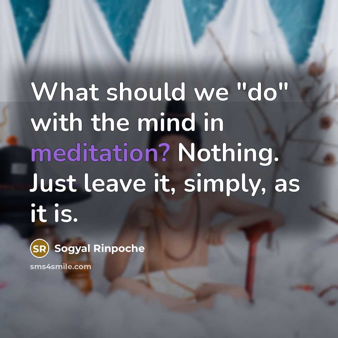 “What should we "do" with the mind in meditation? Nothing.…” quote by Sogyal Rinpoche