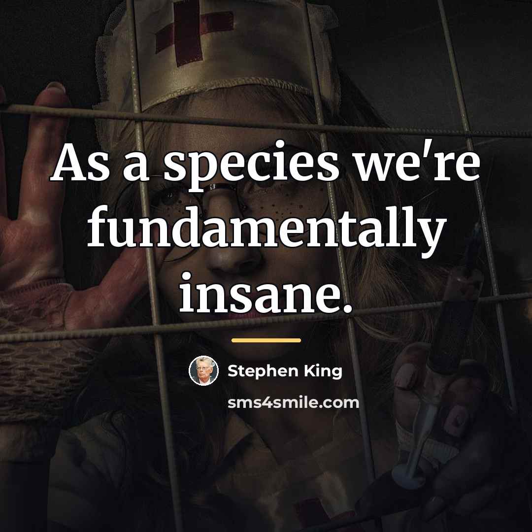 “As a species we're fundamentally insane.…” quote by Stephen King