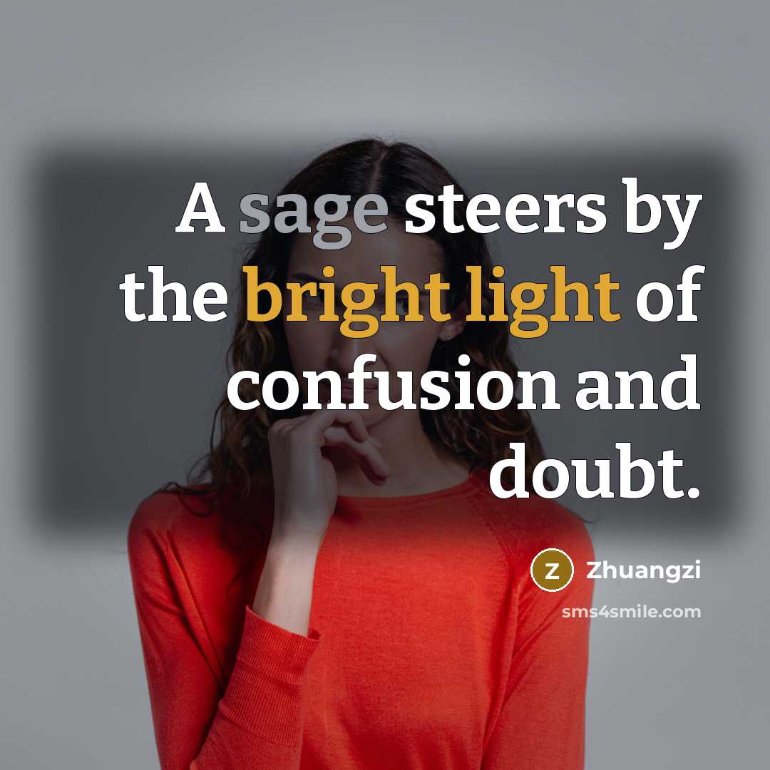 “A sage steers by the bright light of confusion and…” quote by Zhuangzi