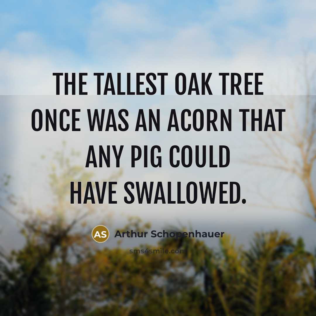 “The tallest oak tree once was an acorn that any…” quote by Arthur Schopenhauer