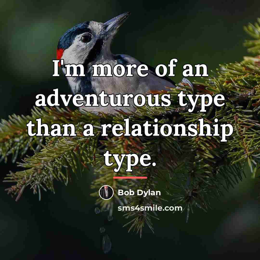 “I'm more of an adventurous type than a relationship type.…” quote by Bob Dylan