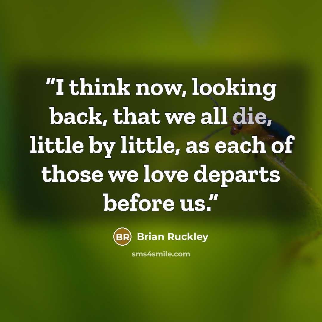 “I think now, looking back, that we all die, little by little, as each of those we love departs before us.” quote by Brian Ruckley