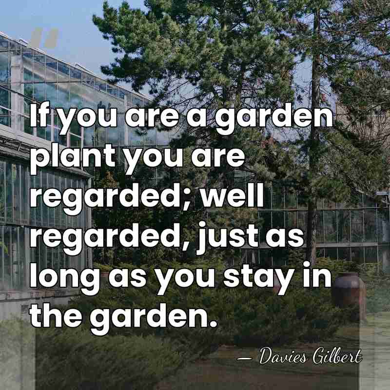 If you are a garden plant you are regarded; well regarded, just&hellip; - Davies Gilbert