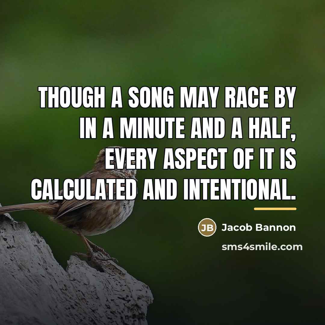 “Though a song may race by in a minute and…” quote by Jacob Bannon