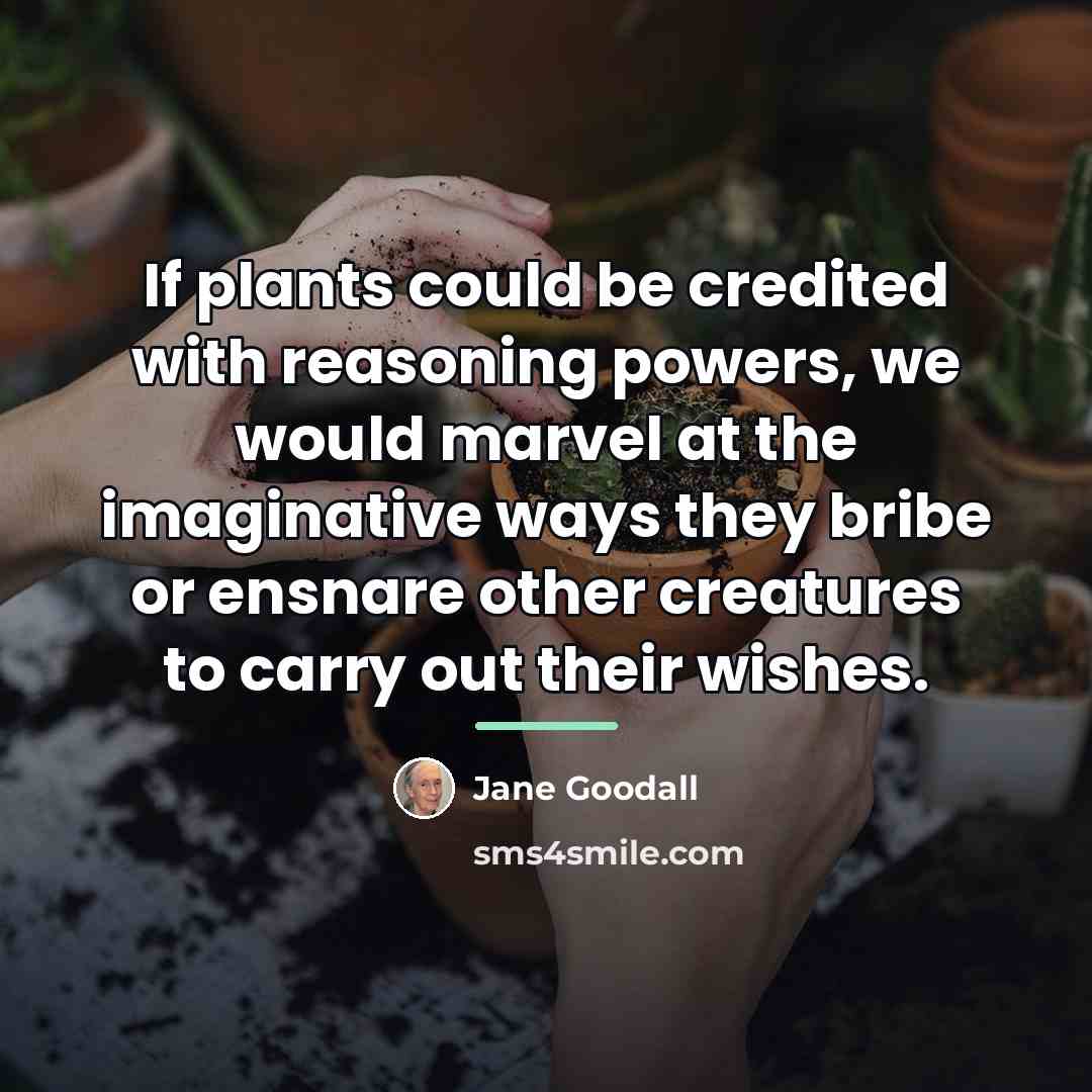 “If plants could be credited with reasoning powers, we would…” quote by Jane Goodall