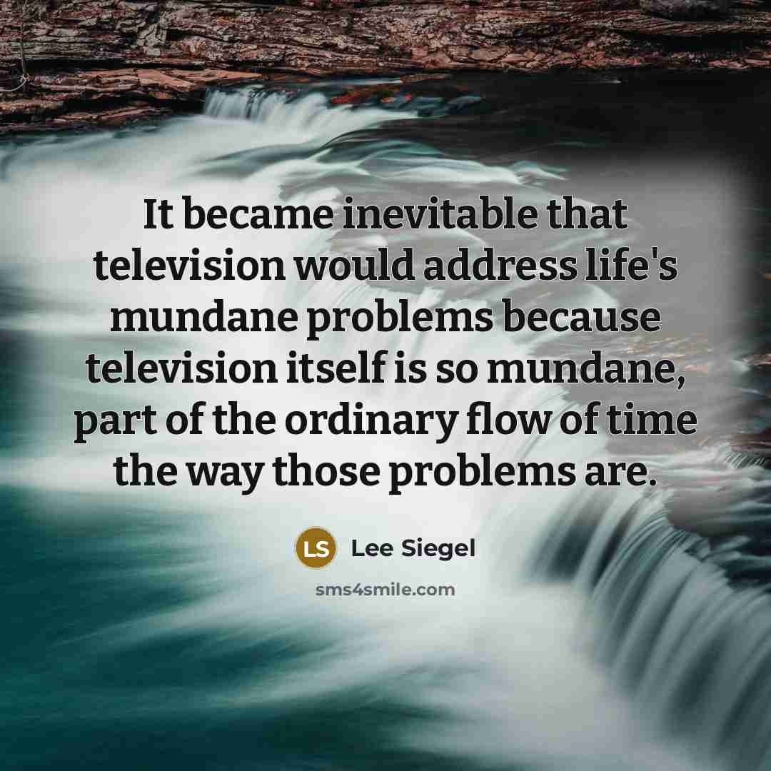 “It became inevitable that television would address life's mundane problems…” quote by Lee Siegel