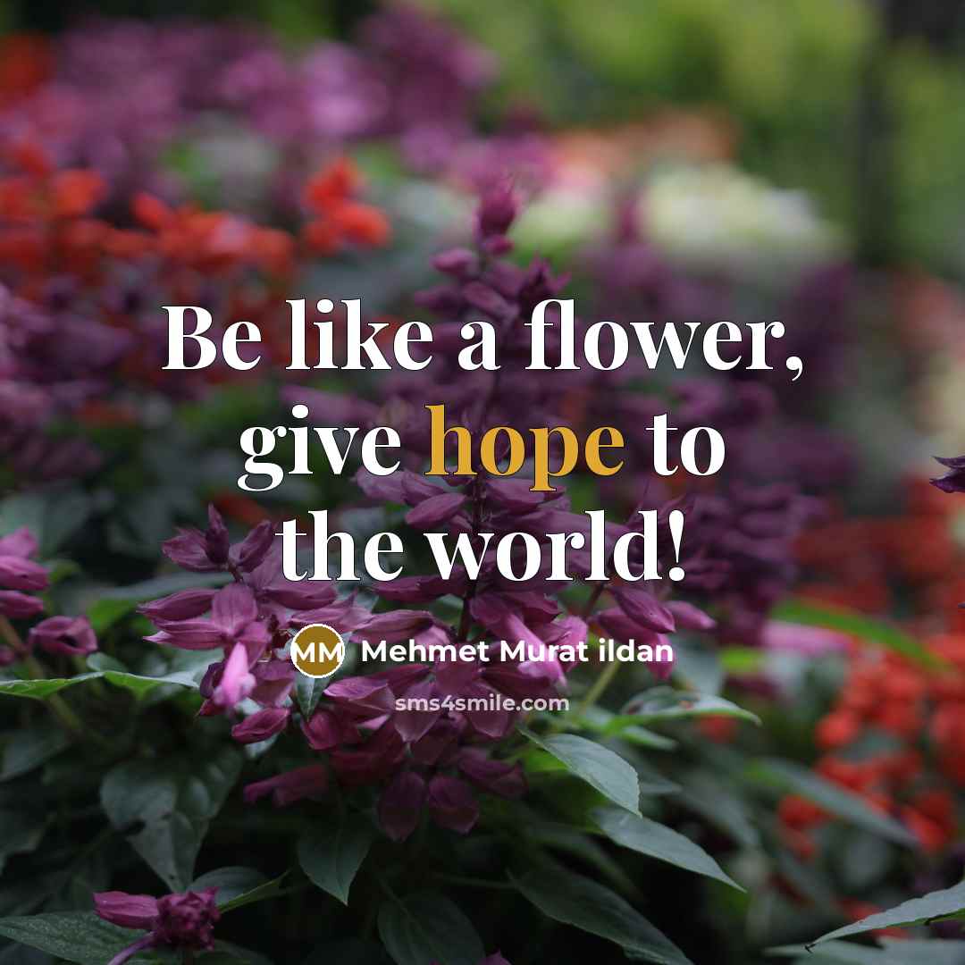 “Be like a flower, give hope to the world!…” quote by Mehmet Murat Ildan