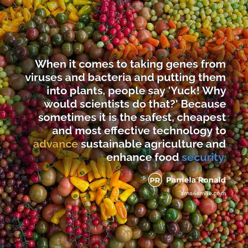 “When it comes to taking genes from viruses and bacteria…” quote by Pamela Ronald