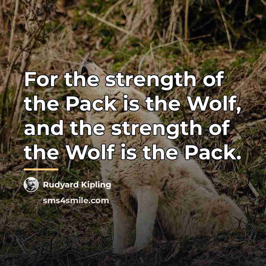 “For the strength of the Pack is the Wolf, and…” quote by Rudyard Kipling