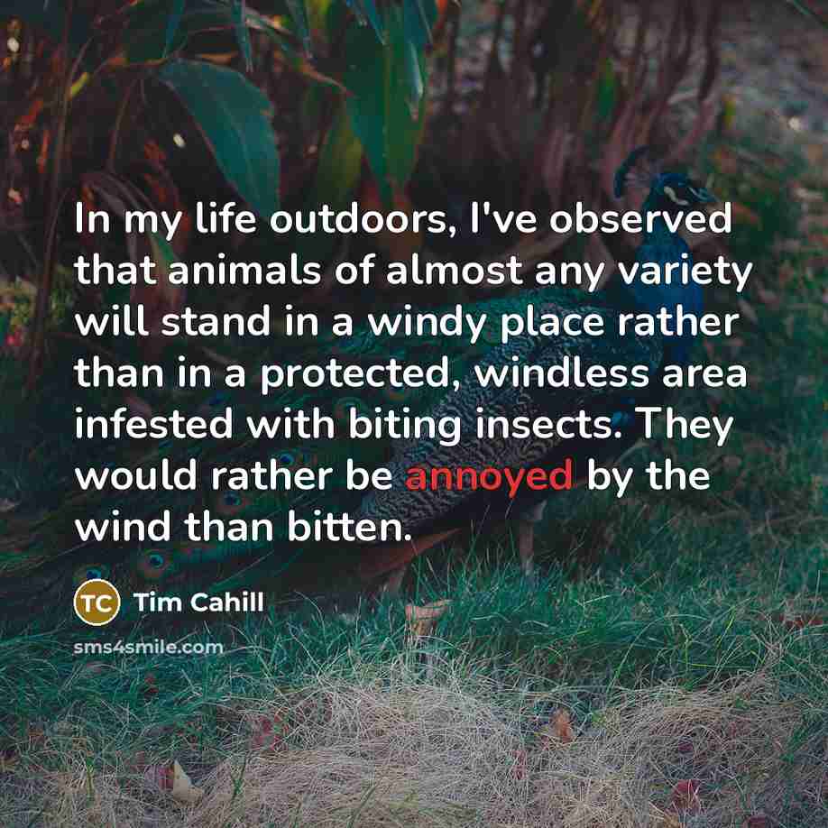 “In my life outdoors, I've observed that animals of almost…” quote by Tim Cahill