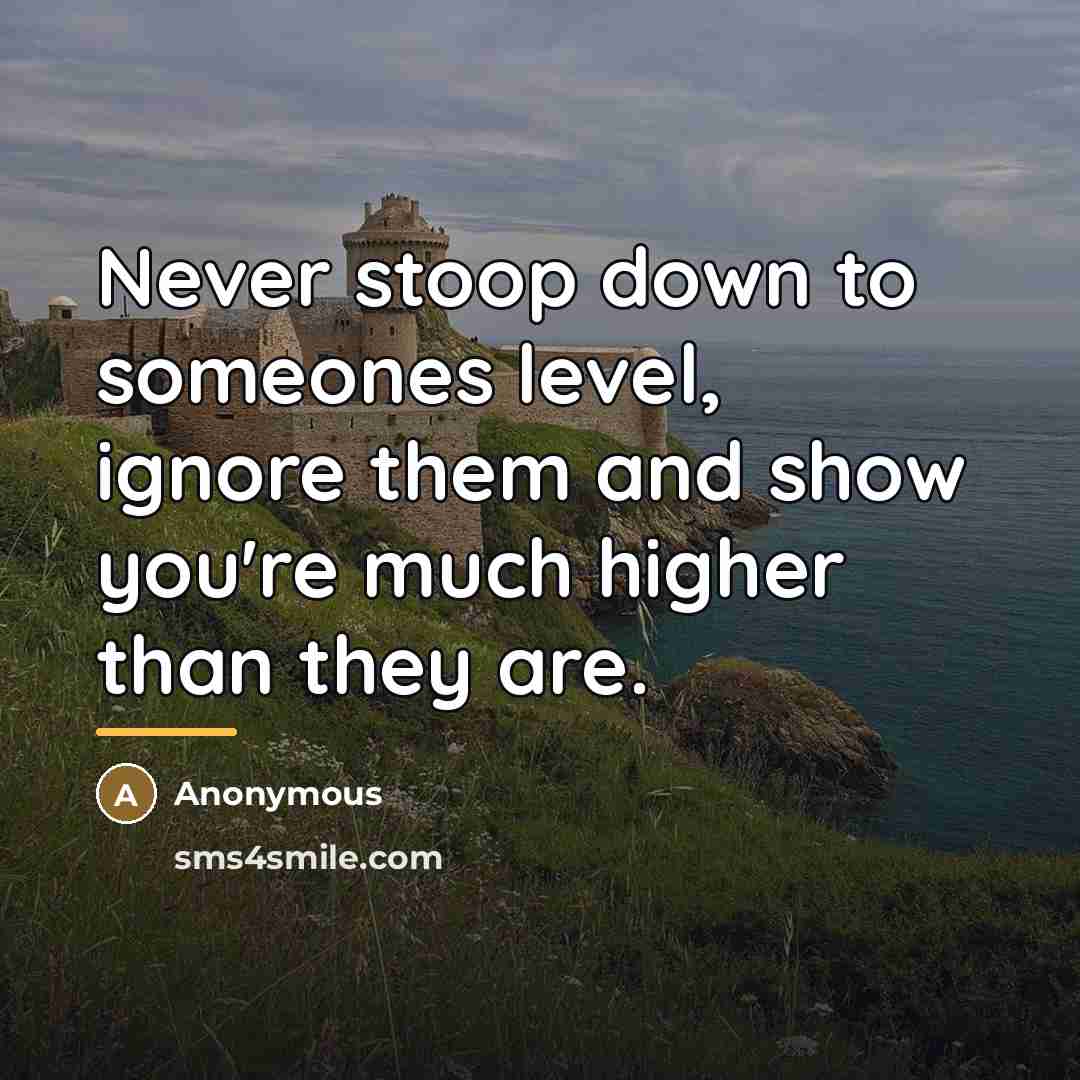 “Never stoop down to someones level, ignore them and show…” quote by Anonymous