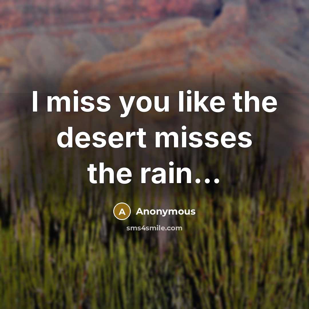 “I miss you like the desert misses the rain...” quote by Anonymous