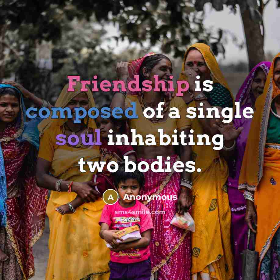 “Friendship is composed of a single soul inhabiting two bodies.” quote by Anonymous
