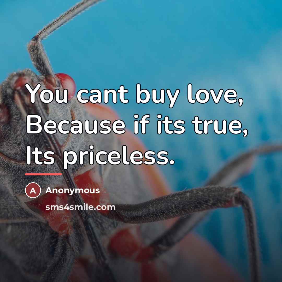 “You cant buy love, Because if its true, Its priceless.…” quote by Anonymous