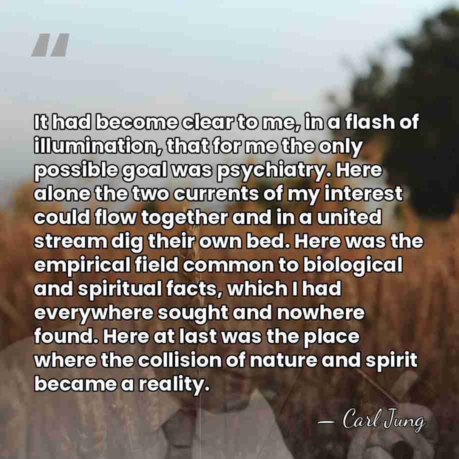 It had become clear to me, in a flash of illumination, that&hellip; - Carl Jung