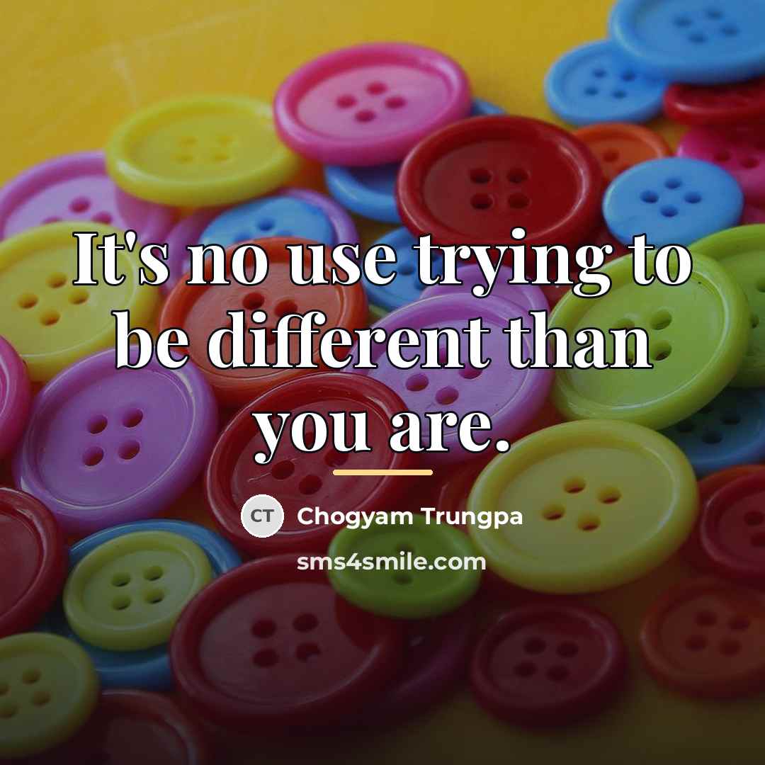 “It's no use trying to be different than you are.…” quote by Chogyam Trungpa