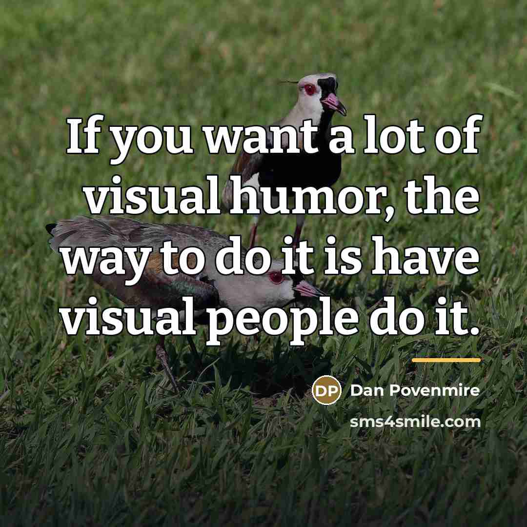 “If you want a lot of visual humor, the way…” quote by Dan Povenmire