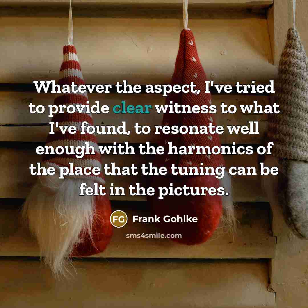 “Whatever the aspect, I've tried to provide clear witness to…” quote by Frank Gohlke