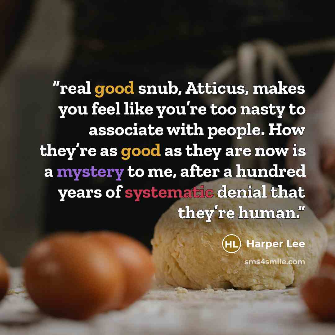 “real good snub, Atticus, makes you feel like you’re too nasty to associate with people. How they’re as good as they are now is a mystery to me, after a hundred years of systematic denial that they’re human.” quote by Harper Lee