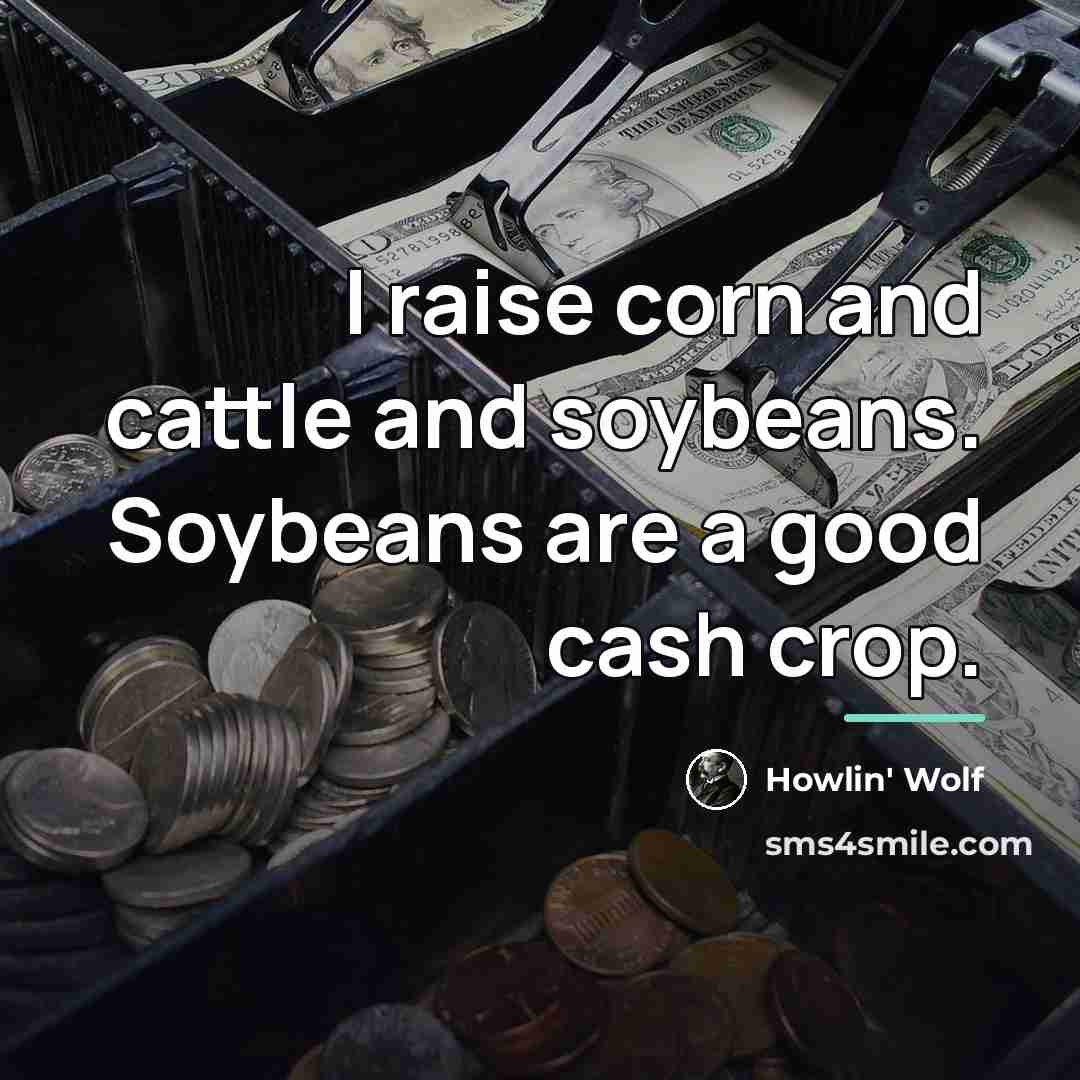 “I raise corn and cattle and soybeans. Soybeans are a…” quote by Howlin' Wolf