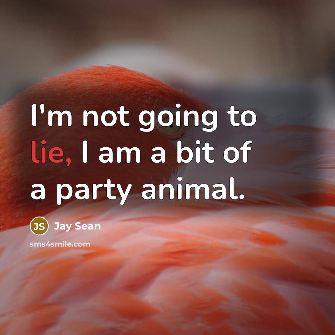 “I'm not going to lie, I am a bit of…” quote by Jay Sean