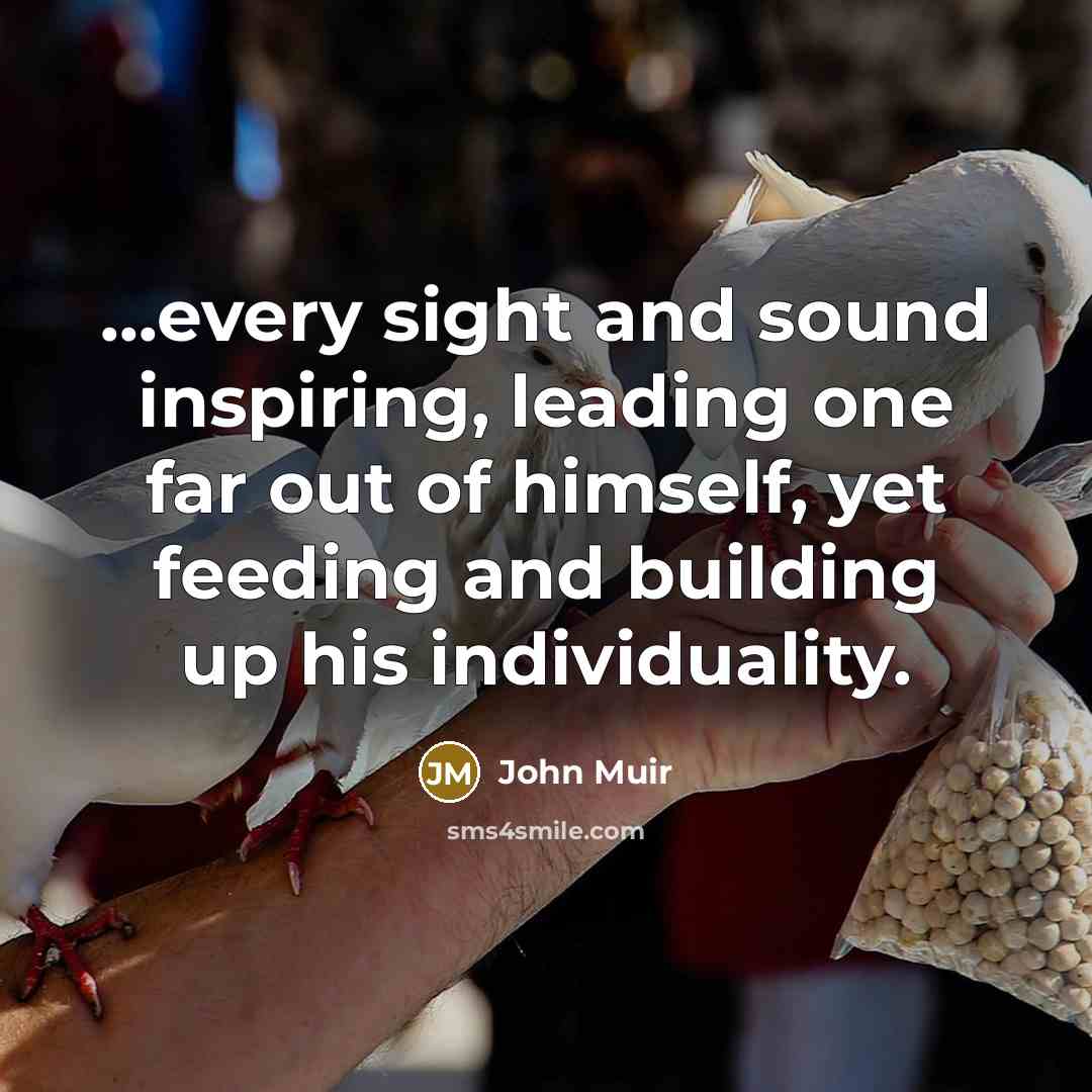 “...every sight and sound inspiring, leading one far out of…” quote by John Muir