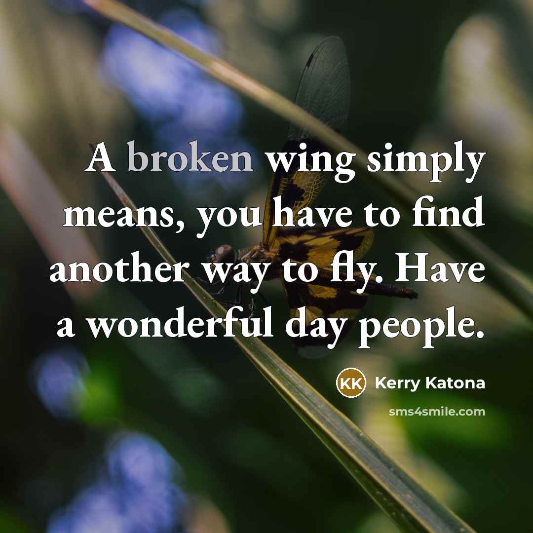 “A broken wing simply means, you have to find another…” quote by Kerry Katona