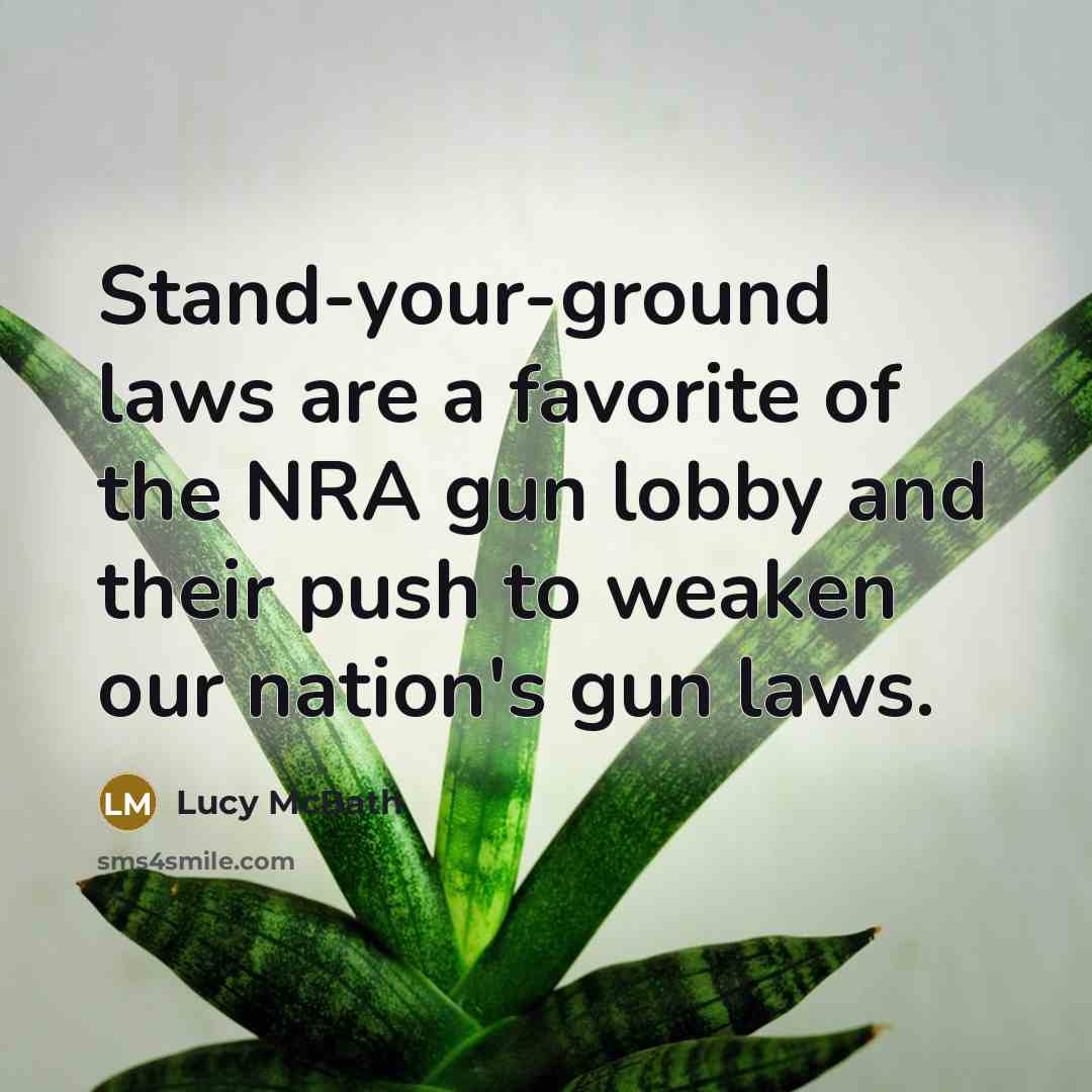 “Stand-your-ground laws are a favorite of the NRA gun lobby…” quote by Lucy McBath
