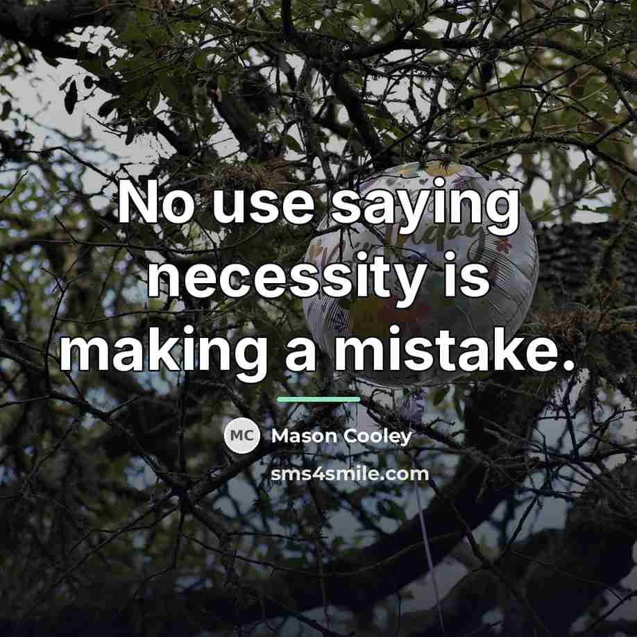 “No use saying necessity is making a mistake.…” quote by Mason Cooley