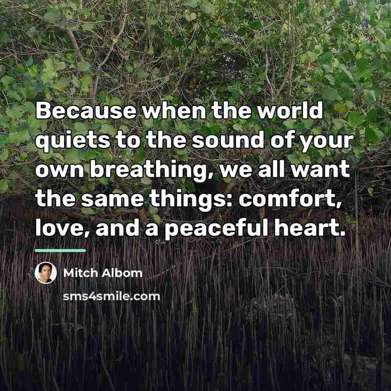 “Because when the world quiets to the sound of your…” quote by Mitch Albom