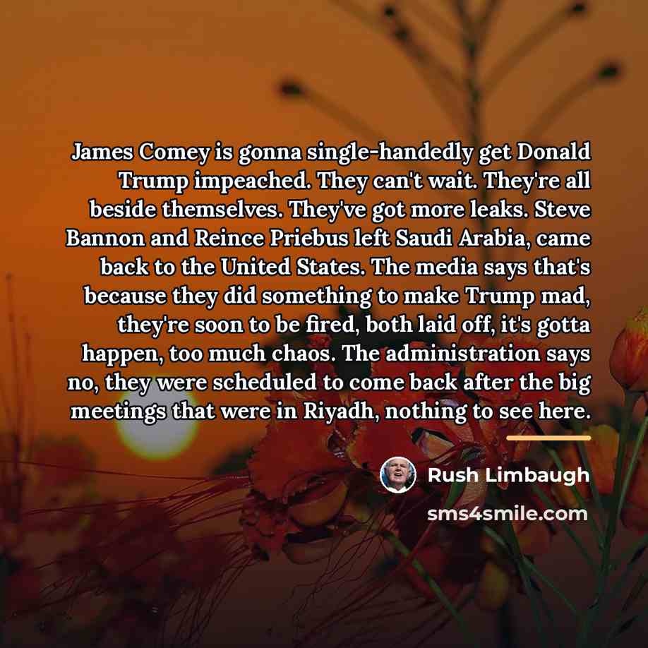 “James Comey is gonna single-handedly get Donald Trump impeached. They…” quote by Rush Limbaugh