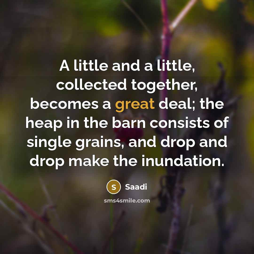 “A little and a little, collected together, becomes a great deal; the heap in the barn consists of single grains, and drop and drop make the inundation.” quote by Saadi