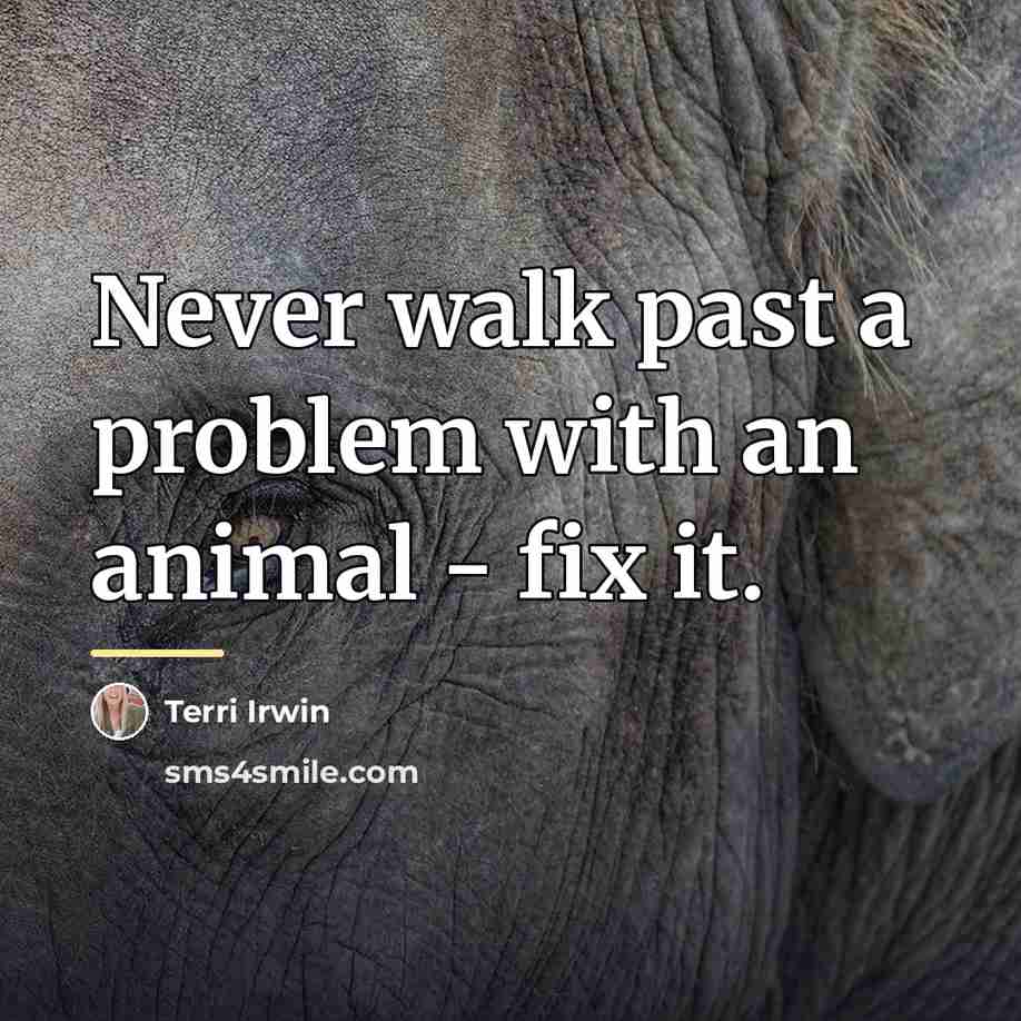 “Never walk past a problem with an animal - fix…” quote by Terri Irwin